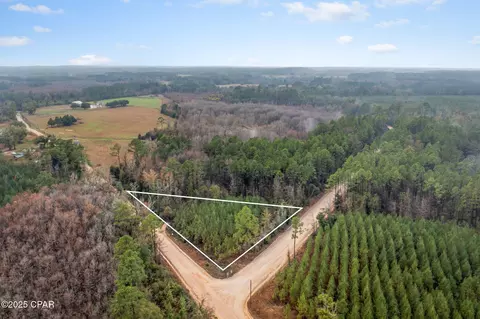 NNN White Road #1.14 ACRES, Bonifay, FL 32425