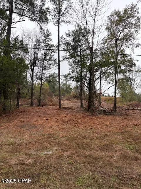 4593 Meadowview Rd, Marianna, FL 32446