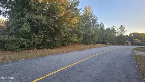 Other - 1 69 Acres Vistula Dr, Chipley, FL 32428 photo 6 of 12