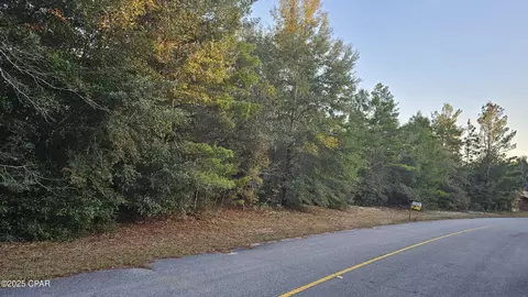 Other - 1 69 Acres Vistula Dr, Chipley, FL 32428 photo 7 of 12