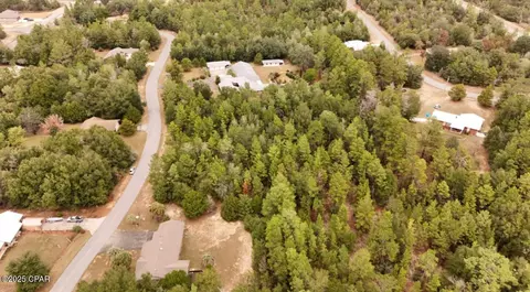 View/Area - 1 69 Acres Vistula Dr, Chipley, FL 32428 photo 4 of 10