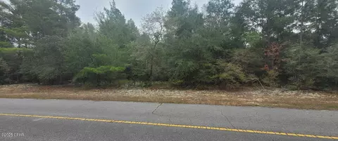 Other - 1 69 Acres Vistula Dr, Chipley, FL 32428 photo 3 of 12