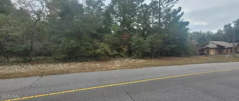 Other - 1 69 Acres Vistula Dr, Chipley, FL 32428 photo 4 of 12
