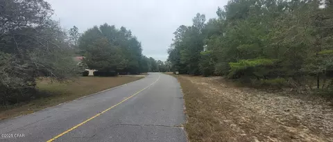 Other - 1 69 Acres Vistula Dr, Chipley, FL 32428 photo 2 of 12