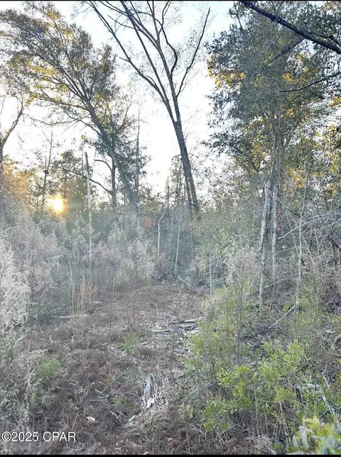 tbd Highway 90, Marianna, FL 32446