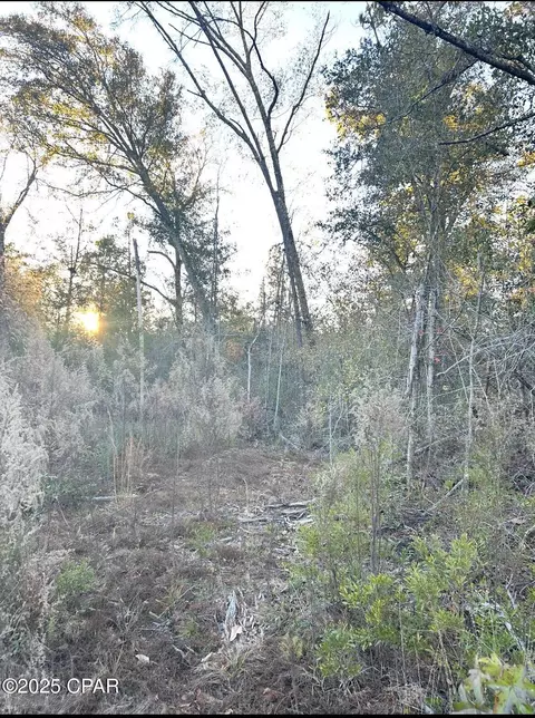 tbd Highway 90, Marianna, FL 32446