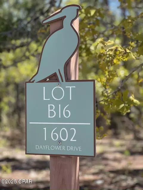 1602 Dayflower Dr, Panama City Beach, FL 32413