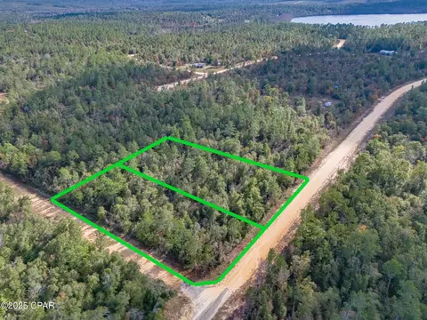 1166 Alene Dr, Alford, FL 32420