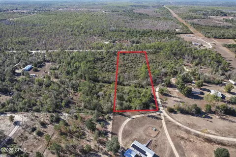 0 Stevens Rd, Altha, FL 32421 photo 8
