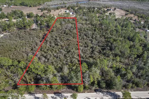 0 Stevens Rd, Altha, FL 32421 photo 2