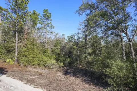 0 Stevens Rd, Altha, FL 32421 photo 12