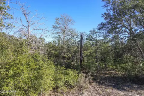 0 Stevens Rd, Altha, FL 32421 photo 11