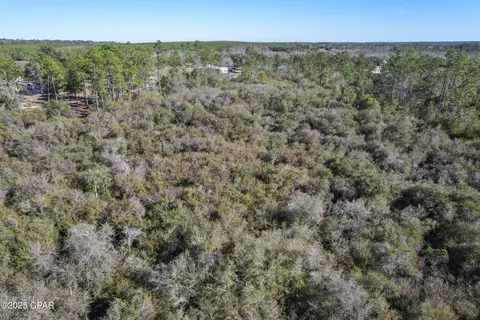 0 Stevens Rd, Altha, FL 32421 photo 15