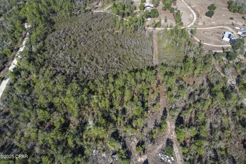 0 Stevens Rd, Altha, FL 32421 photo 14