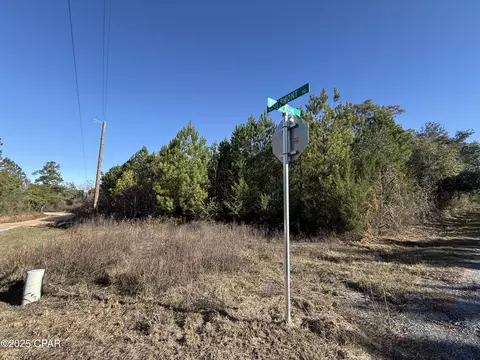 00 Bull Run Ln, Marianna, FL 32446
