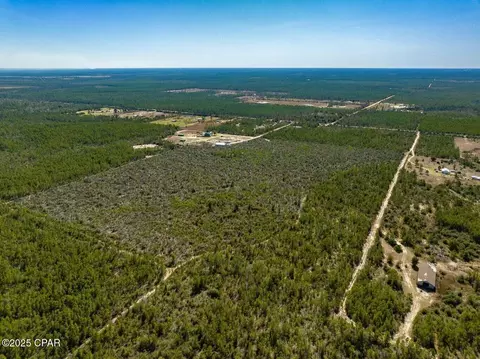 110 Acres Highway 20, Youngstown, FL 32466 photo 6