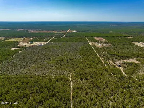 110 Acres Highway 20, Youngstown, FL 32466 photo 3