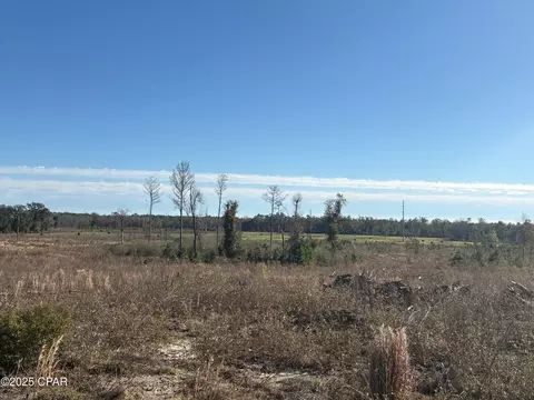 4980 Heisler Rd, Graceville, FL 32440