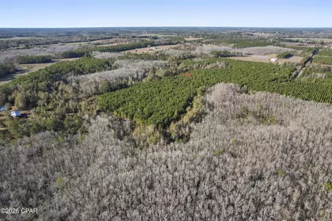 0 New Prospect Rd, Chipley, FL 32428 photo 4