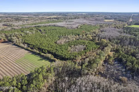 0 New Prospect Rd, Chipley, FL 32428 photo 11