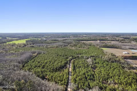 0 New Prospect Rd, Chipley, FL 32428 photo 19