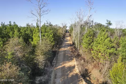 0 New Prospect Rd, Chipley, FL 32428 photo 18