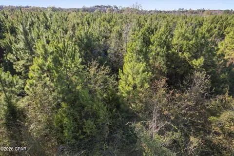 0 New Prospect Rd, Chipley, FL 32428 photo 17