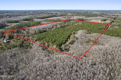 0 New Prospect Rd, Chipley, FL 32428 photo 5