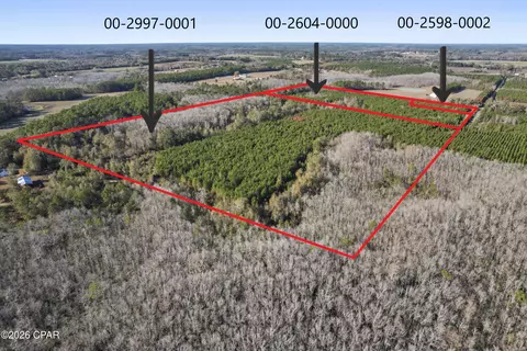 0 New Prospect Rd, Chipley, FL 32428 photo 8