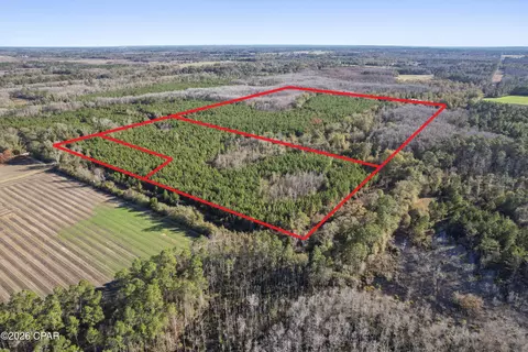 0 New Prospect Rd, Chipley, FL 32428 photo 12