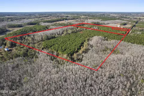 0 New Prospect Rd, Chipley, FL 32428 photo 7