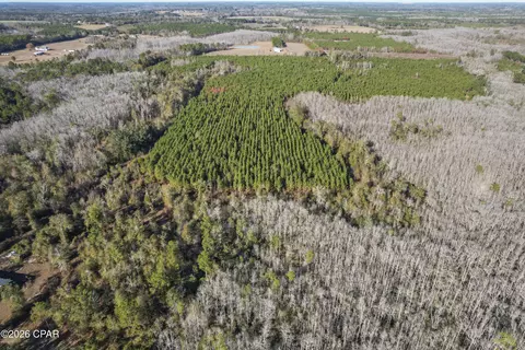 0 New Prospect Rd, Chipley, FL 32428 photo 3