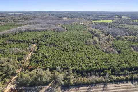 0 New Prospect Rd, Chipley, FL 32428 photo 2