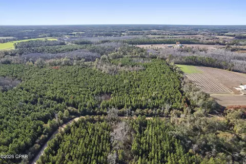 0 New Prospect Rd, Chipley, FL 32428 photo 14