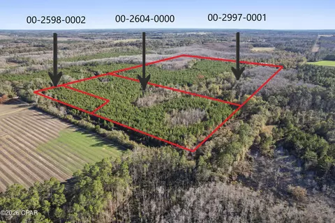 0 New Prospect Rd, Chipley, FL 32428 photo 13