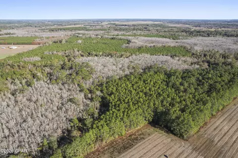 0 New Prospect Rd, Chipley, FL 32428 photo 10