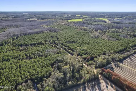 0 New Prospect Rd, Chipley, FL 32428 photo 15
