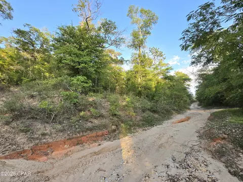 tbd Giles Cir, Chipley, FL 32428 photo 8