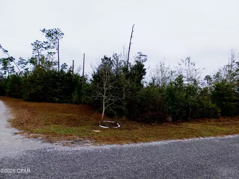 0 Klondyke Rd, Youngstown, FL 32466
