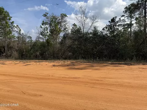 00 Mayflower Dr, Marianna, FL 32448