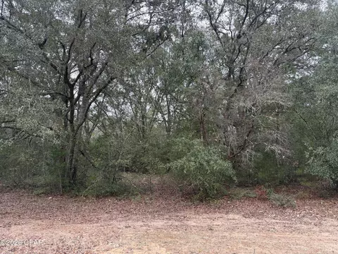 00 Leaf Ct, Marianna, FL 32448