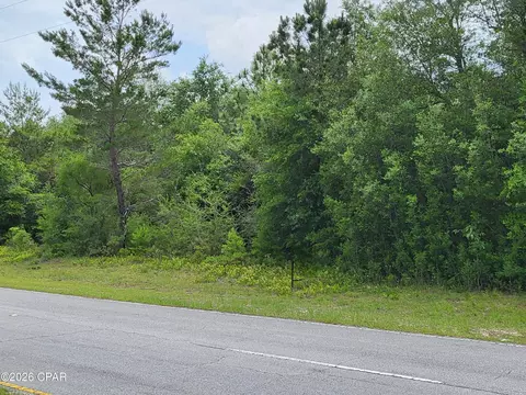 tbd Deer Ct, Chipley, FL 32428 photo 2