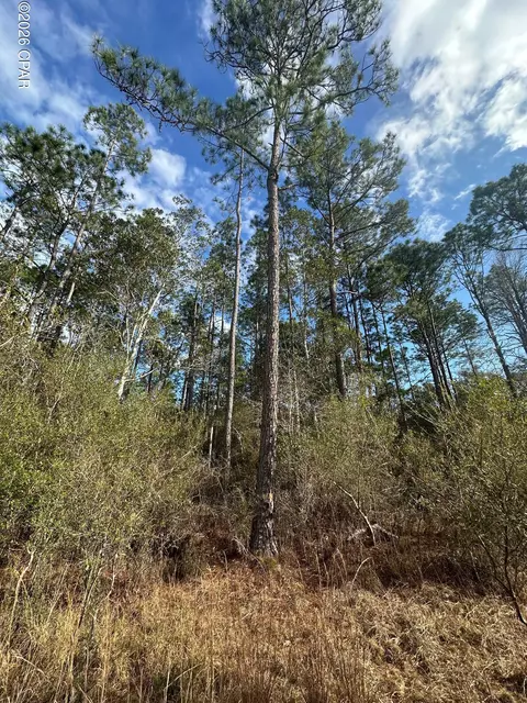 5033 Douglas Ferry Rd, Caryville, FL 32427