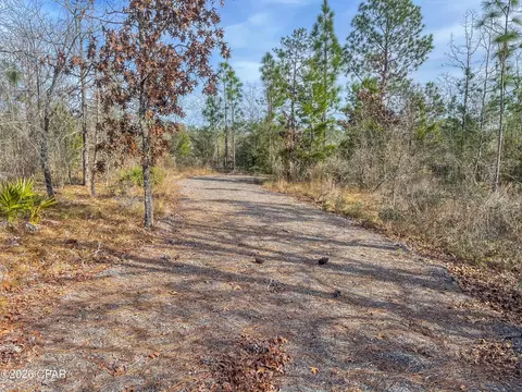 4343 NW Twin Ponds Rd, Altha, FL 32421
