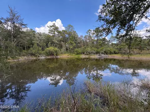 0000 Diane Pl, Chipley, FL 32428