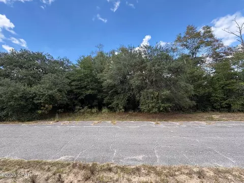 0000 Diane Pl, Chipley, FL 32428 photo 3
