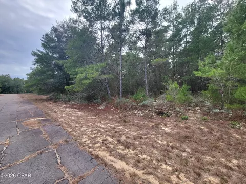 tbd Luar Ave, Chipley, FL 32428 photo 2