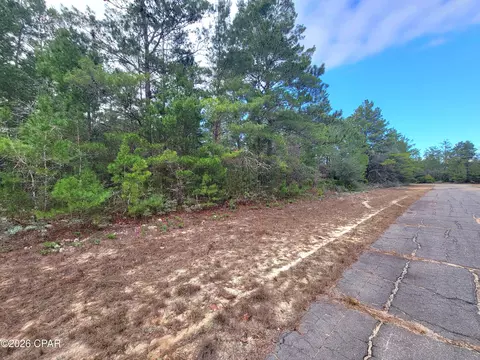 tbd Luar Ave, Chipley, FL 32428 photo 4