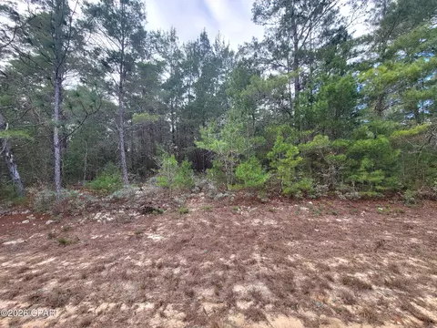 tbd Luar Ave, Chipley, FL 32428 photo 3