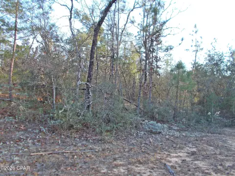 lot11 Rim Ct UNIT 3, Marianna, FL 32448